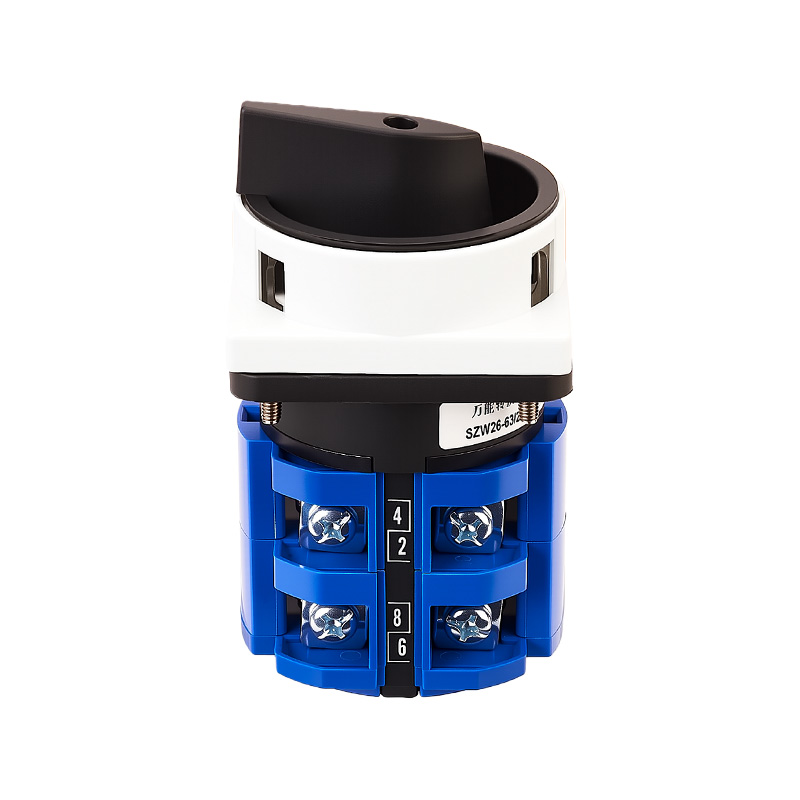 ZHUCO SZW26-63/2GS Серо-черный двухпозиционный двухполюсный выключатель питания