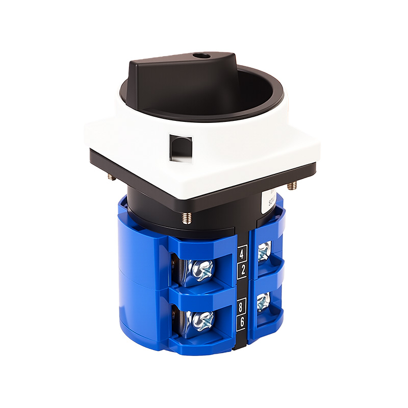 ZHUCO SZW26-63/2GS Серо-черный двухпозиционный двухполюсный выключатель питания